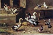 unknow artist poultry  174 France oil painting artist